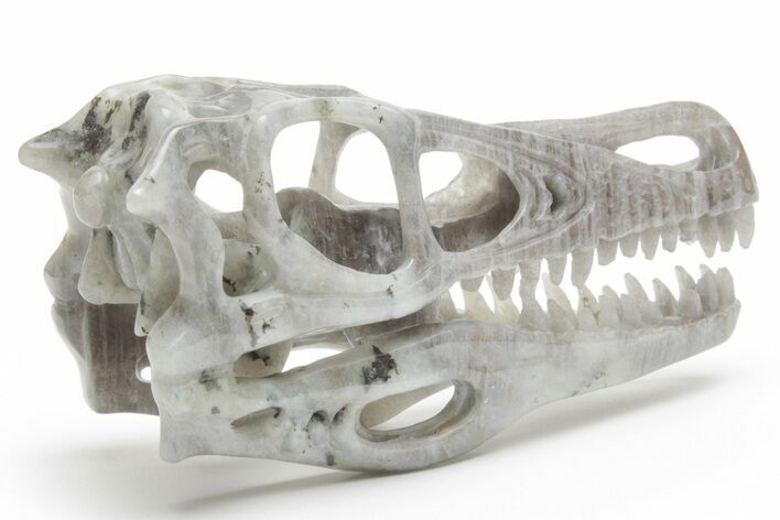 Carved Labradorite Dinosaur Skull #218497
